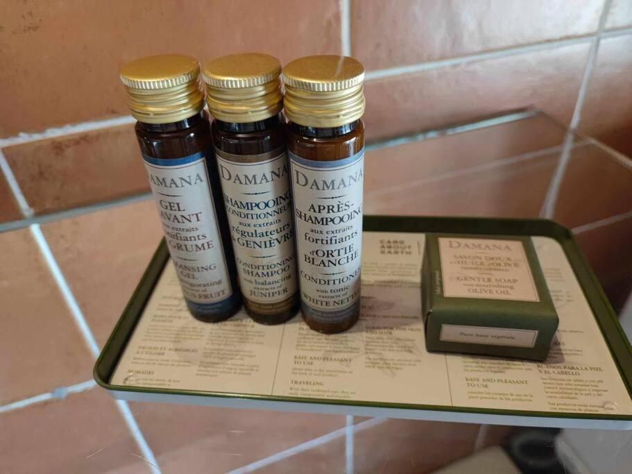 Апартаменты Charme De Victor Conciergeriedamecarcas Каркассон Экстерьер фото